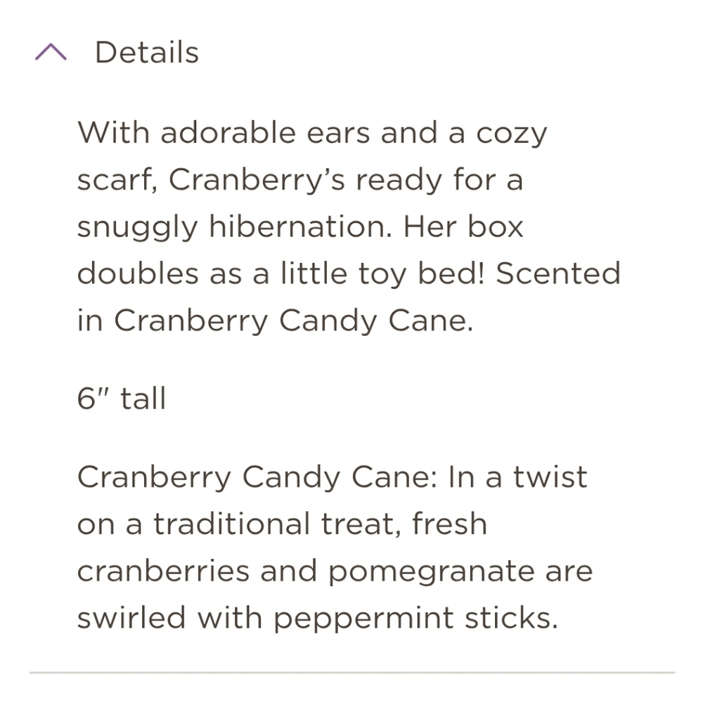 NEW Cranberry The Bear Scentsy Beddy-Bye Buddy - Picture 2 of 9